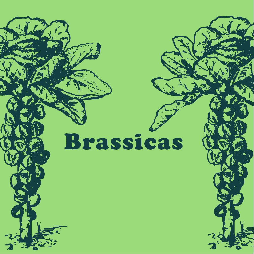 Brassicas Community Supported Grocery