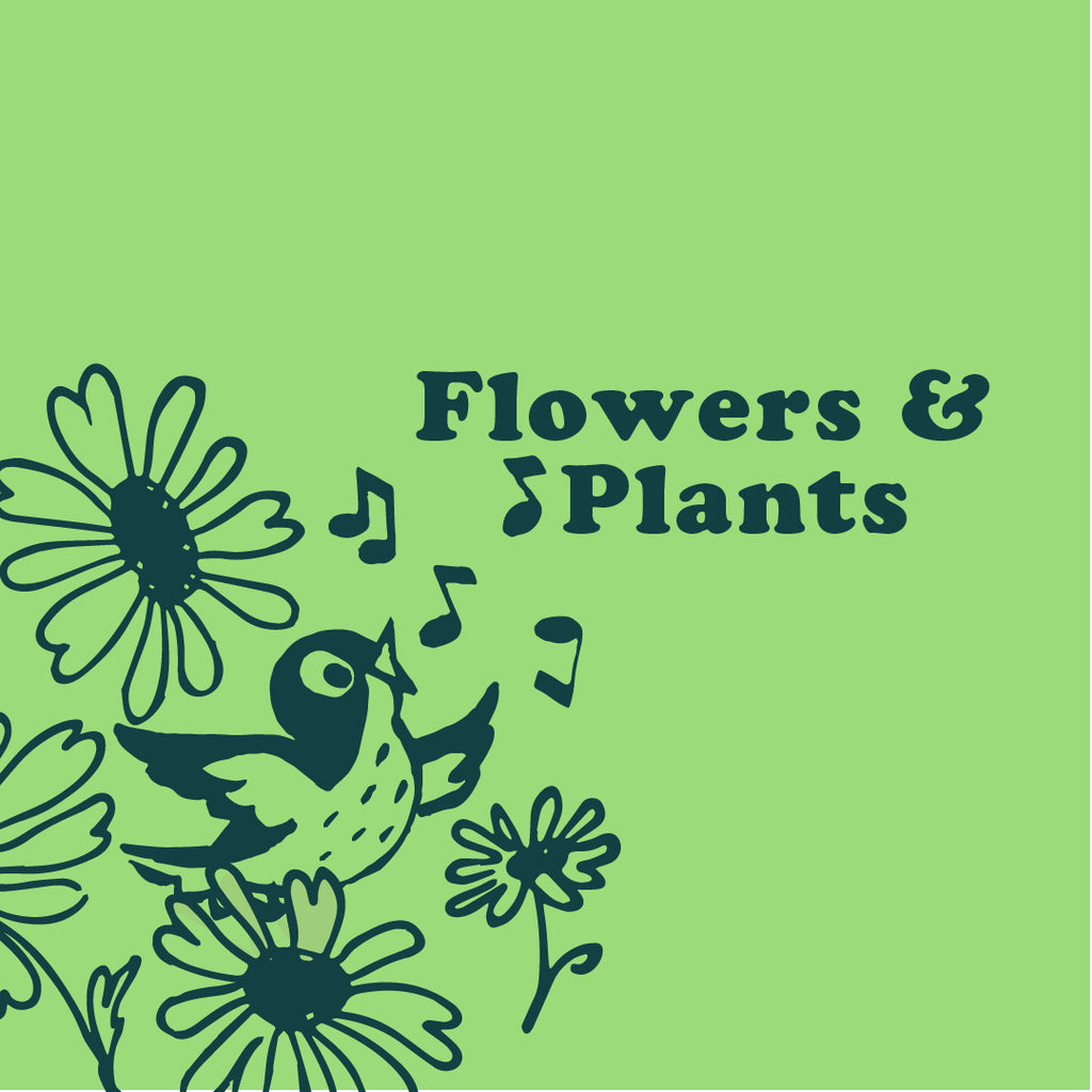 Flowers & Plants