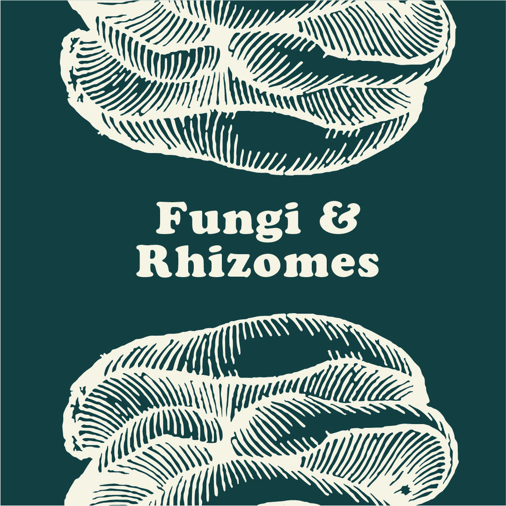 Fungi & Rhizomes